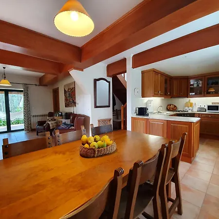 Casa Do Cuco, Acolhedora, Em Aldeia Tranquila Com Espaco Exterior Generoso Perto De Сasa de vacaciones Pombal (Leiria)