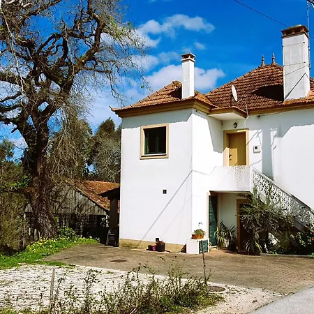 Casa Do Cuco, Acolhedora, Em Aldeia Tranquila Com Espaco Exterior Generoso Perto De Pombal (Leiria)