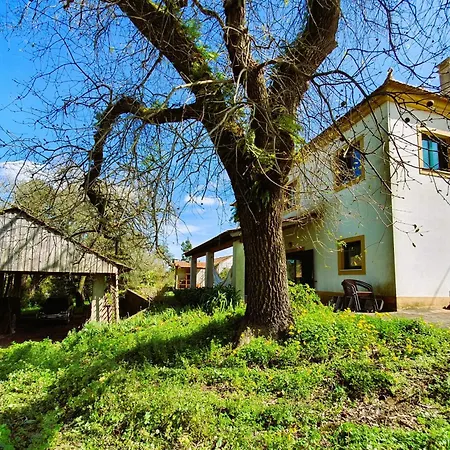 Casa Do Cuco, Acolhedora, Em Aldeia Tranquila Com Espaco Exterior Generoso Perto De * Pombal (Leiria)