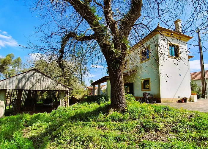 Casa Do Cuco, Acolhedora, Em Aldeia Tranquila Com Espaco Exterior Generoso Perto De * Pombal (Leiria)